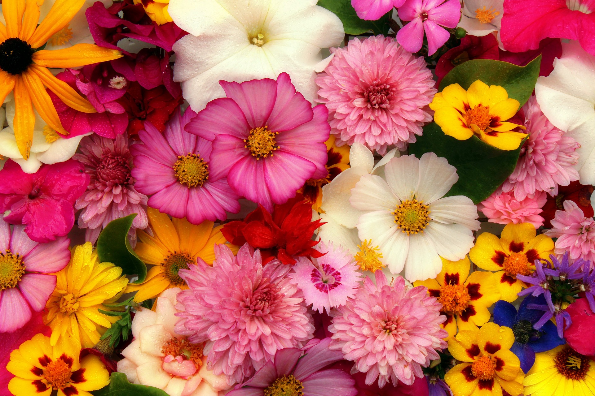 Colorful flower arrangement